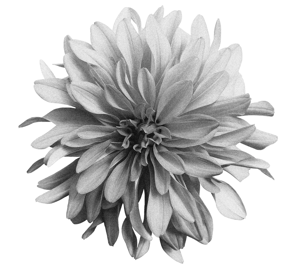 Live the Sweet Life in Melina