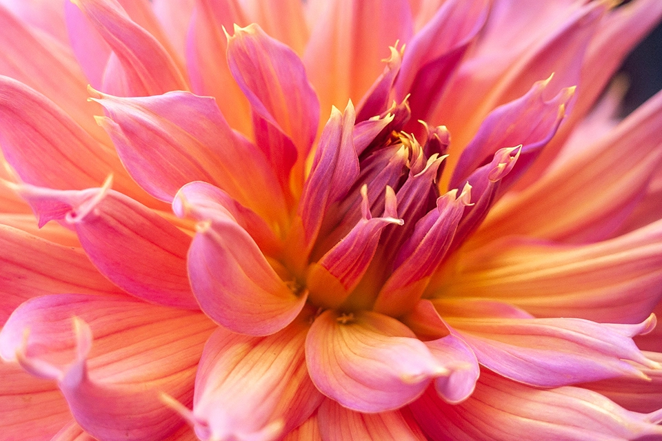 Homes in Georgetown, TX