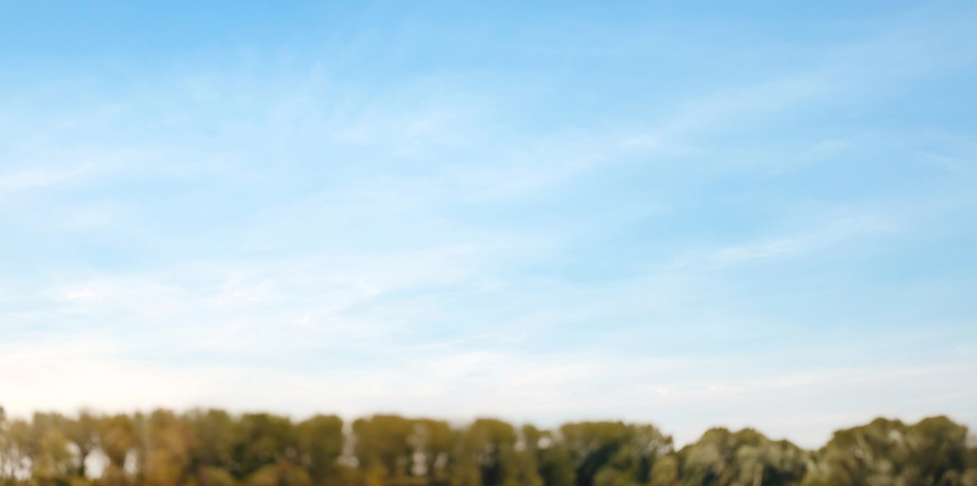 Melina by Hillwood New Homes in Georgetown, TX