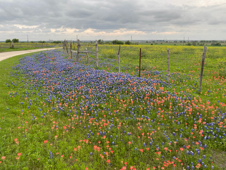 Melina New Homes for sale in Georgetown, TX